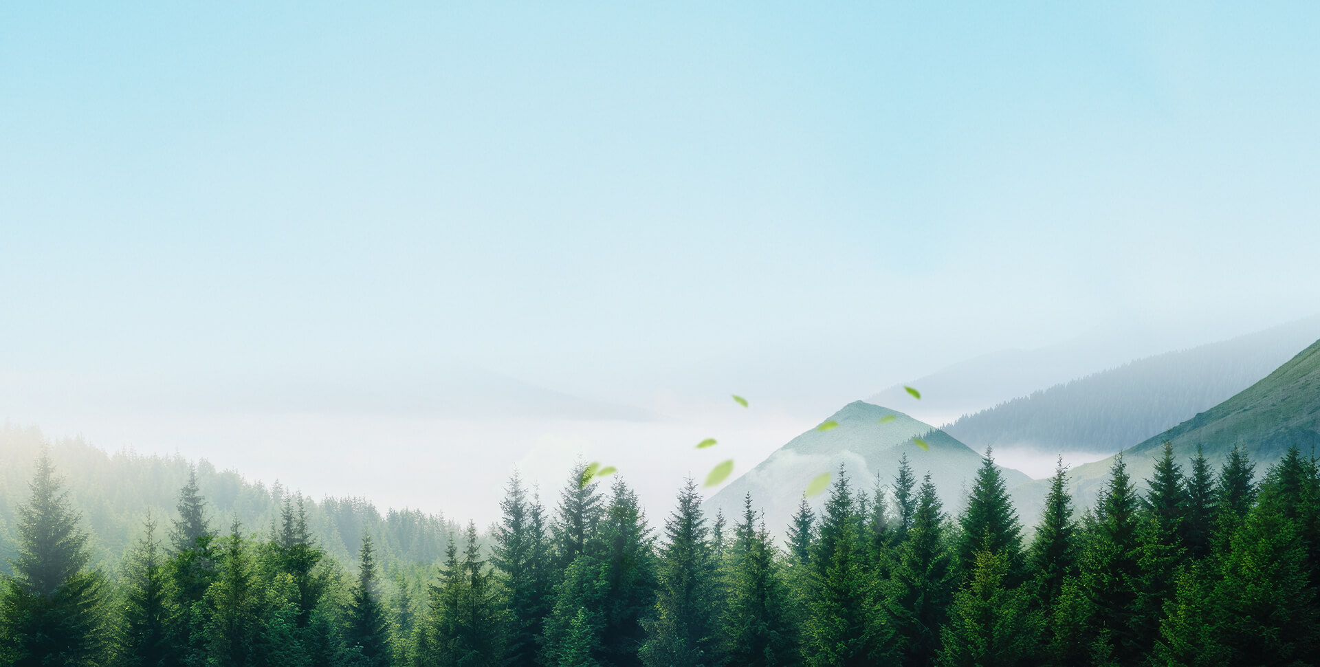 为什么选择思嘉超能芯 ？